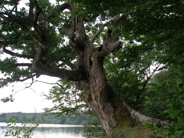 2007 05 Séjour en Brenne 035